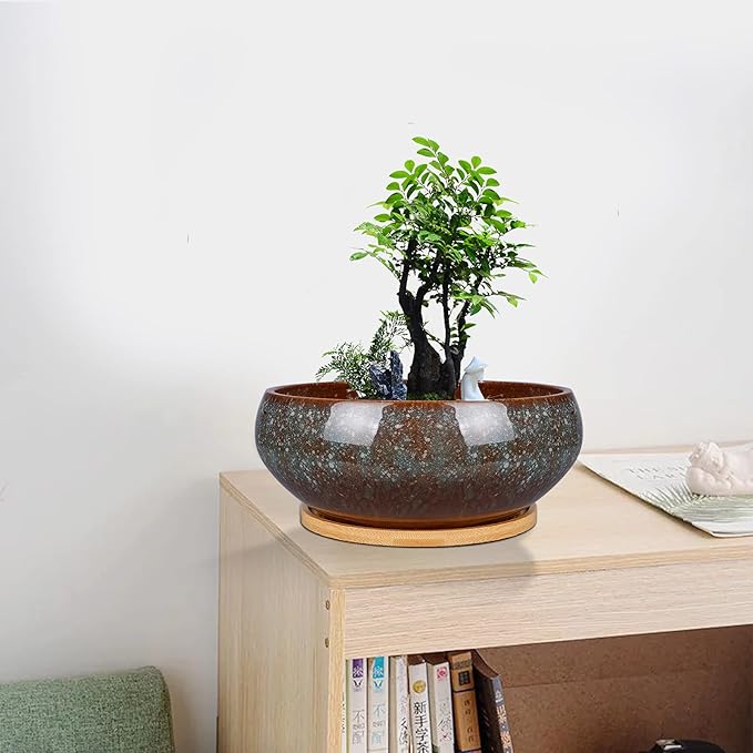 8 Inch Ceramic Bonsai Planter Pot, Glazed Shallow Succulent Planter with Drainage Hole and Bamboo Saucer for Indoor Plants, Brown