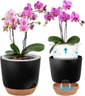 Self Watering Orchid Pots for Indoor Plants,5.8 Inch Macetas para Orqudeas,Flower Pots for Indoor Plants with Holes(Black)