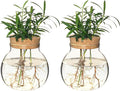 Plant Propagation Station,Hydroponic Terrarium Vase,Desktop Glass Planter Station,for Houses,Garden Decorations,ropagating Hydroponic Plants,Centerpiece Office,Home Garden Decor (2)