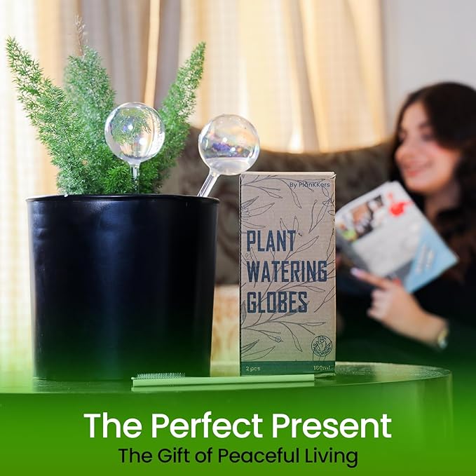 Large 4 Pcs Iridescent Self Watering Globes, Glass Rainbow Plant Watering Globes, Self Watering Planter Insert, Automatic Plant Waterer Indoor, Plant Watering Devices, Plant Water Globe, Watering Bulb