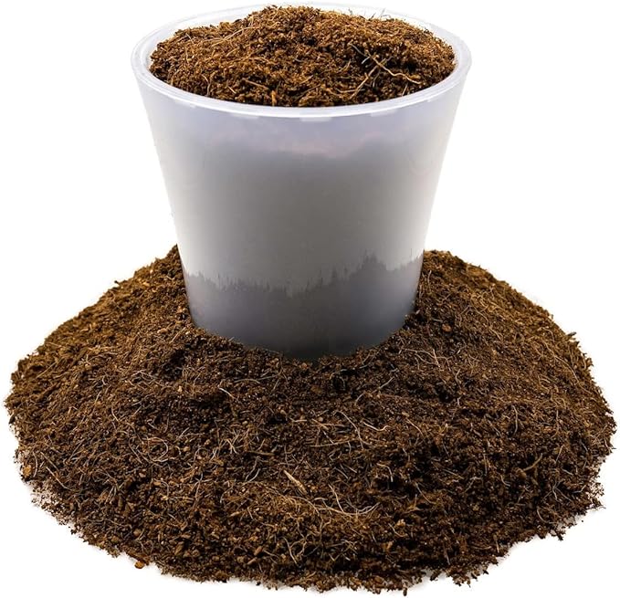 Fiddle Leaf Fig House Plant Soil Premium All Purpose Blend - Peat Moss, New Zealand Bark, Coco Chips and Fibers, Perlite - 2 Quart Bag