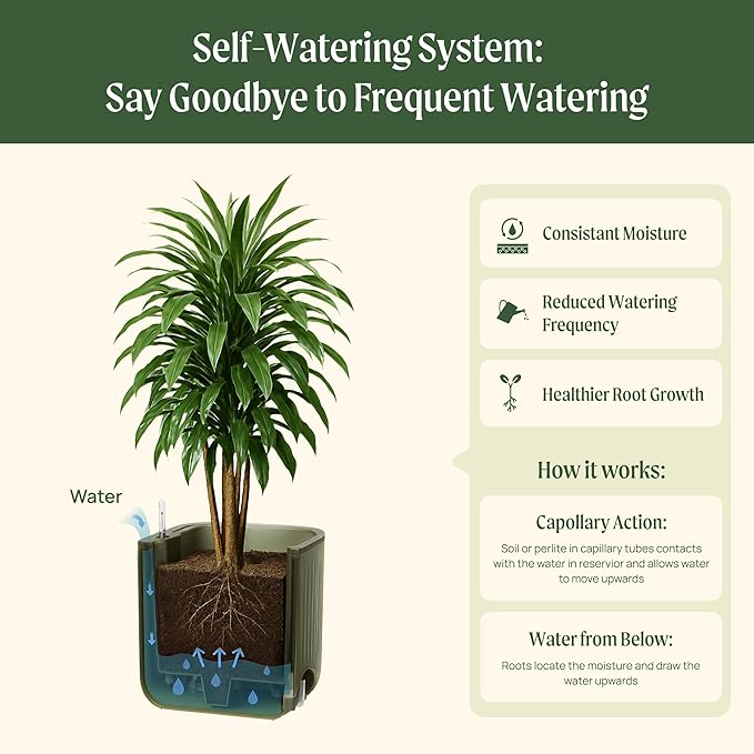 Vego garden Self Watering Pots Home Planters with Water Gauge for Effortless Indoor Plants Cream White
