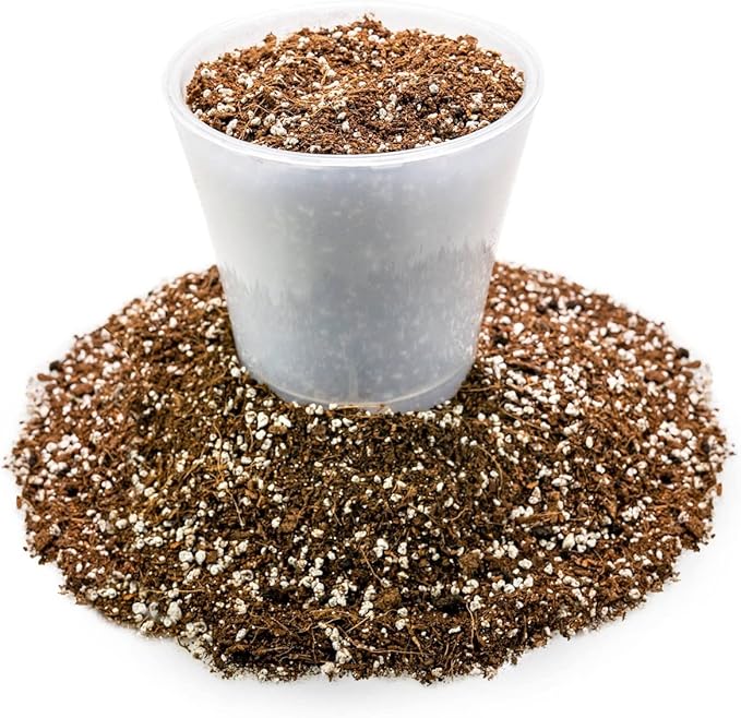 Professional Carnivorous Plant Soil - Ready to Use for Venus Flytraps, Sundews, Pitcher Plants, Butterworts | Peat Moss, Coco Coir, Perlite - 1 Quart Bag