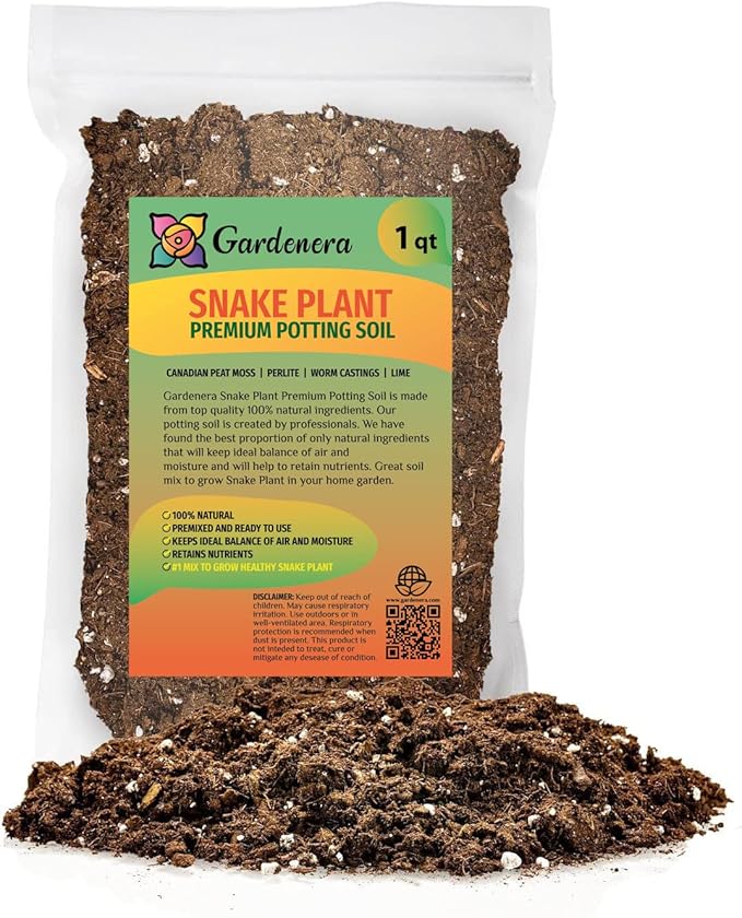 Premium Snake Plant Potting Soil Mix, Green Sansevieria Trifascatia Zeylanica Plants, Plant or Re-Pot Your Snake Plant - (1 Quart Bag)