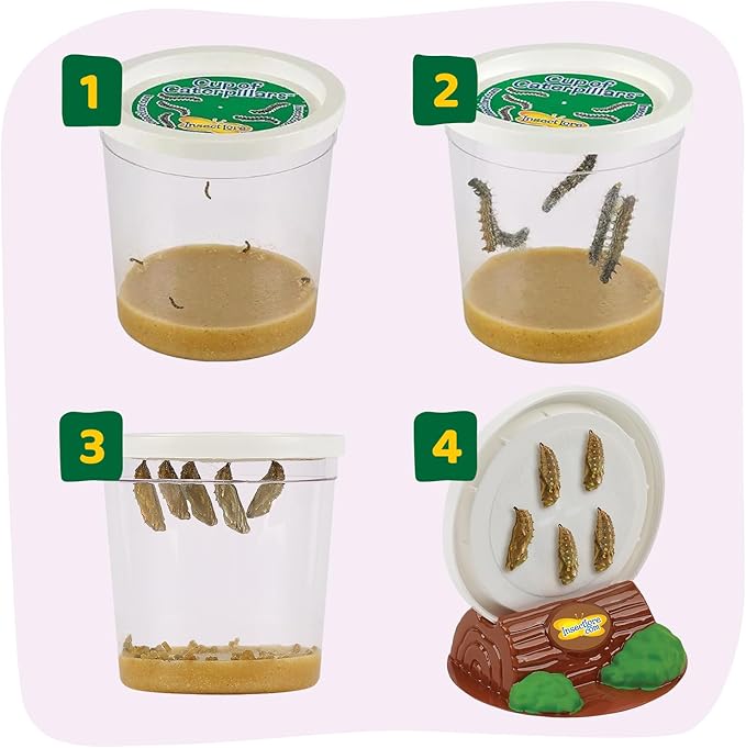 Insect Lore Butterfly Garden with 5 Live Baby Caterpillars - STEM Activity Journal, Habitat, Chrys-A-Lid Holder and Feeder Included | Raise and Release Painted Lady Butterflies