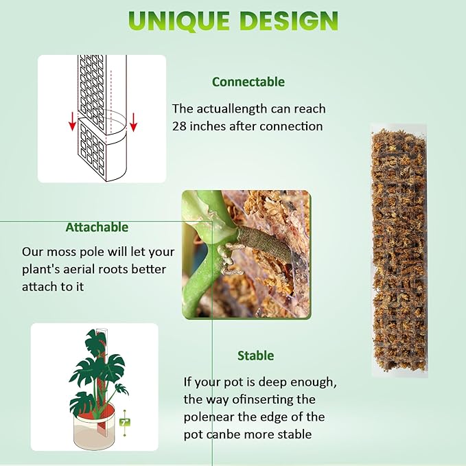 EOX 4 Pcs 15 Inch Plastic Moss Pole for Plants Monstera Set with 150g Sphagnum Moss, Plant Poles for Climbing Plants, Plant Support for Indoor Plants, Garden Ties