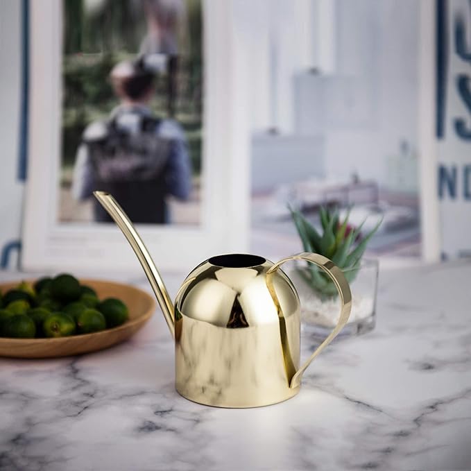 IMEEA Gold Watering Can for Indoor Plants, Orchid, Bonsai - Stainless Steel With Long Spout for House, Desk, Office - 15oz/450ml
