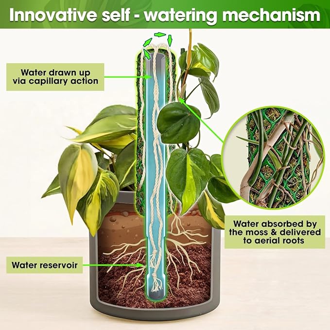 DUSPRO Self-Watering Natural Green Forest Moss Pole, Easy to Use Moss Sticks for Indoor Plants, Climbing Plant Support Stake with Self-Watering Feature, Moss Pole Monstera Plant Support 2pcs 23''