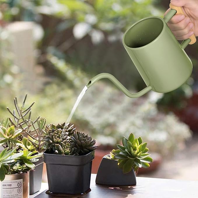 Watering Can Indoor Plants, 35 oz/1000 ml Metal Stainless Steel Watering Can Pot with Long Spout for Indoor House Plants Bonsai Outdoor Garden Flower Decorative (Sage Green)