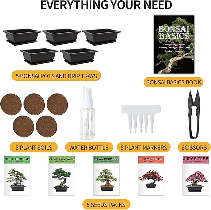 Bonsai Tree Kit with Complete Plant Growing Tools, Grow in Pot Indoor Bonsai Tree Starter Kit, Home Gardening DIY Gift for Adult