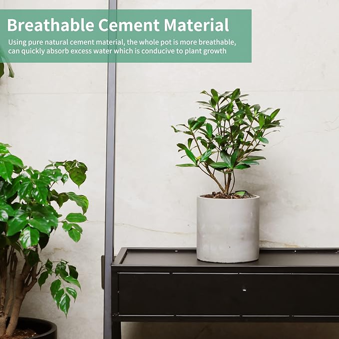 Mozing Cement Plant Pots Indoor - 5.9 inch Concrete Planter Pot for Planting - Modern Stone Clay Flower Pot with Drainage Hole for Garden, Home, Office Decor, Grey