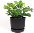 Elly Décor 10 inch Plastic Cylinder Planter Pot with Self-Watering Saucer and Drainage Hole,Lightweight & Extremely Durable, 10"x 10", Black