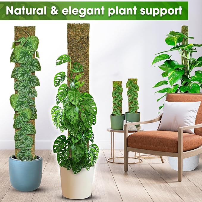 DUSPRO 59’’ Flat Mesh Moss Poles for Climbing Plants Monstera Flat Stacks for Tall Plant with Real Moss Moss Pole for Indoor Plants Plant Stick Support Tall Indoor Plants Support Stakes (1pc., 59'')