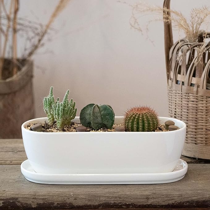 Ceramic Plant Pots, 11+14 inch, Set of 2, Planters with Drainage Holes Saucers and Mesh Pads, Indoor Flower Succulent Pot with Hole Mesh Pad, Gifts for Mom, Plants Not Included
