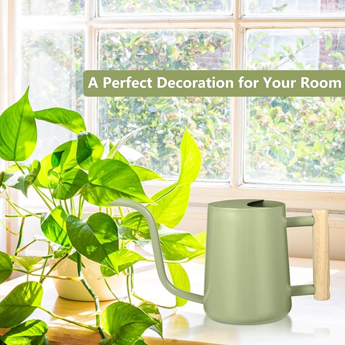 Watering Can Indoor Plants, 35oz Small Watering Can Indoor Stainless Steel Metal Watering Can Modern Decorative Watering Pot with Long Spout for Indoor House Plant Bonsai Garden Flowers (Sage Green)