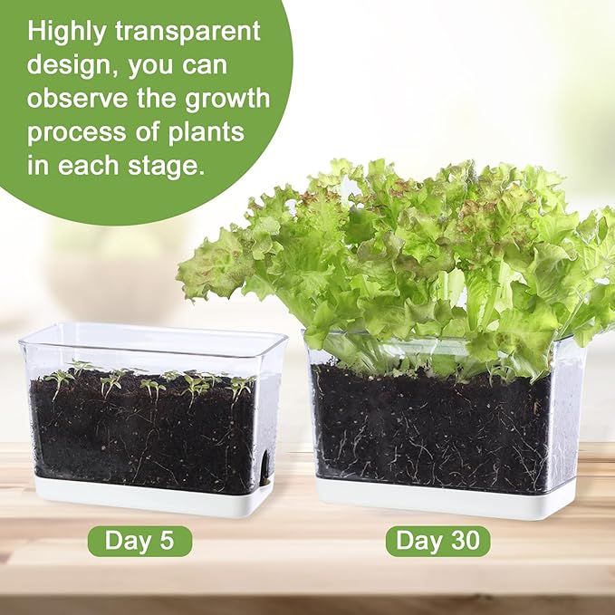 Self Watering Planter, 2 Pack African Violet Pots, Rectangular Self-Watering Clear Planters Box for Devil's Ivy, Spider Plants, Orchid. Flower Planting and Small Vegetables for Home Office