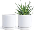 D'vine Dev Set of 2 Plants Pots, 6 Inch Ceramic Planter Pot for Plants with Drainage Hole and Saucer, White, 94-V-C-1