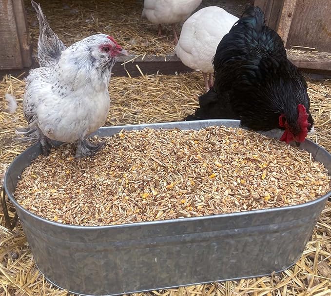 Pampered Chicken Mama Backyard Feed - Premium Scratch Treat - High Protein & Calcium All-Natural Grower Feed Supplies for Laying Chickens (2.5 Pounds)