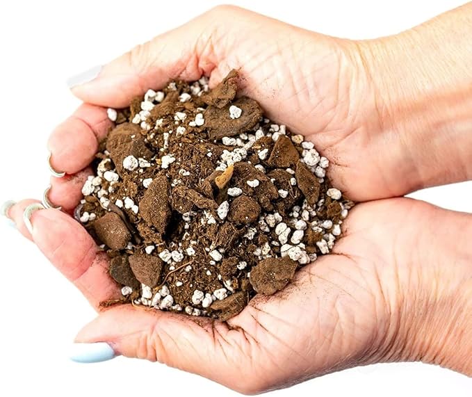 Palm Tree Potting Mix - The Ultimate Soil for Strong and Healthy Palms - Top Choice for Palm Tree Growers [3 Quart Bag]