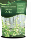 Outsidepride Buckwheat Seeds - 1lb Annual, Fast-Growing, Easy to Grow Buckwheat Cover Crop Seeds for Green Manure, Bee Pasture & Pollinators, Wildlife Habitat, Soil Improvement, and Erosion Control