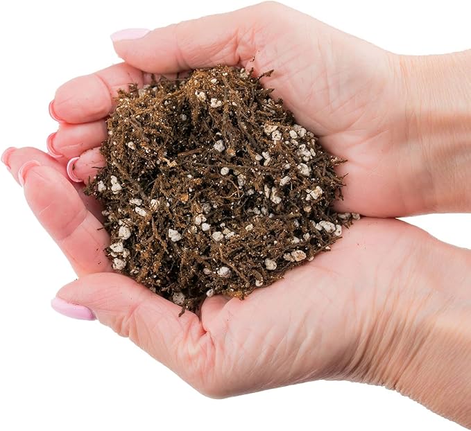 Fern + Perlite Soil Mix - 10 Quart - for Repotting and Planting Succulents and Cactuses (4 Bags of 5 Quart)