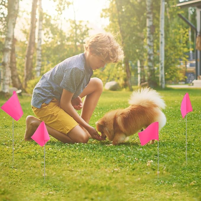 Zozen 100Pack Fluorescent Pink Marking Flags, Writable/15x4x5 Inch, Yard Flags for Lawn & Irrigation & Landscape & Sprinkler & Survey & Dog Training.
