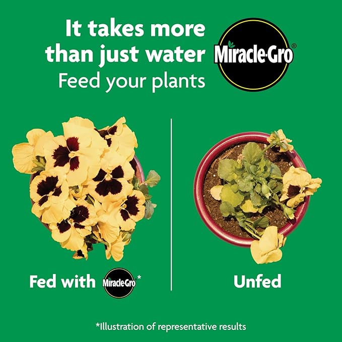 Miracle-Gro Shake 'N Feed All Purpose Plant Food, For In-Ground and Container Plants, Feeds for up to 3 Months, 4.5 lbs.