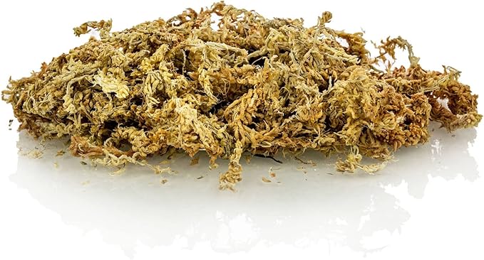 Premium New Zealand Sphagnum Moss - Organic Hand Mixed Long Fibered Sphagnum Moss Orchid - 3 Quart