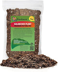 Kalanchoe Plant Premium Potting Mix - Unleash The Full Potential of Your Plants with The Best Mix Available - 5 Quart