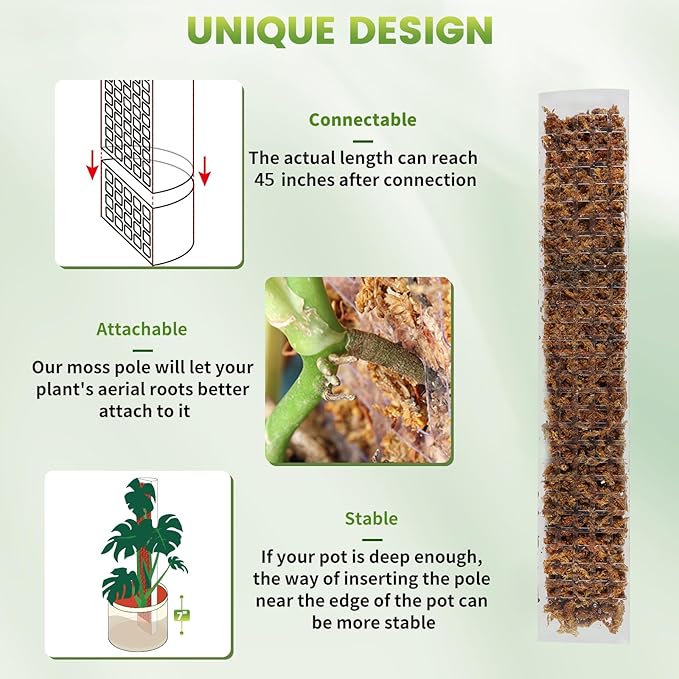EOX 6 Pcs 24 Inch Plastic Moss Pole for Plants Monstera, Plant Poles for Climbing Plants, Plant Support for Indoor Plants Work with Sphagnum Moss, Garden Ties