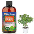 Premium Liquid Jade Fertilizer - 3-1-2 Concentrate for Indoor Plants and Flowers - Organic Plant Food - 8oz