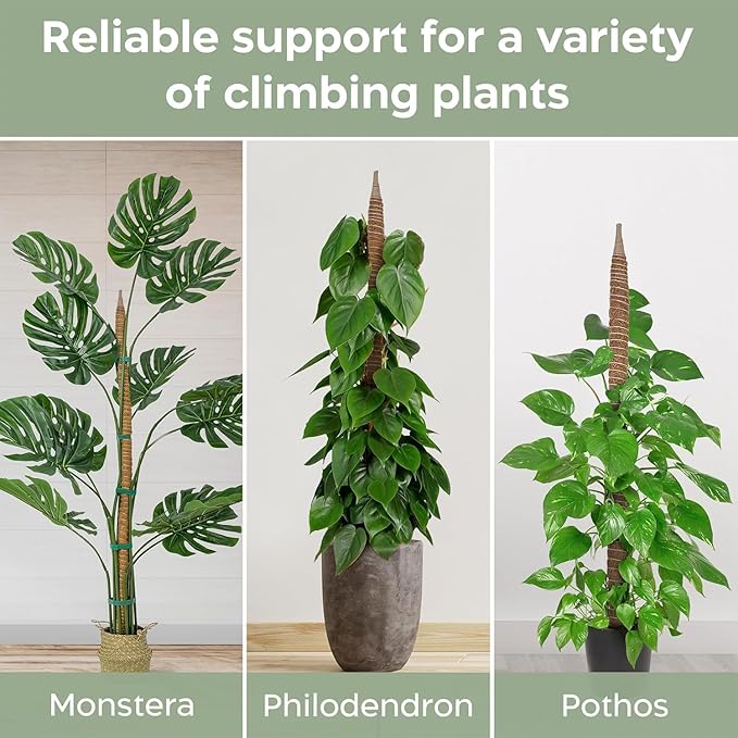 2 Pack 46'' Bendable Moss Pole Monstera Plant Support for Climbing Indoor Plants - Stakes for Potted Climbers - Tall Sticks Indoor Trellis for Houseplants - Accessories for Monstera Pot