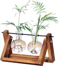 Kingbuy Glass Desktop Planter with Retro Wooden Stand and Plant Terrarium vase (2 Bulbs) for Indoor Office Desk Decor Accessories