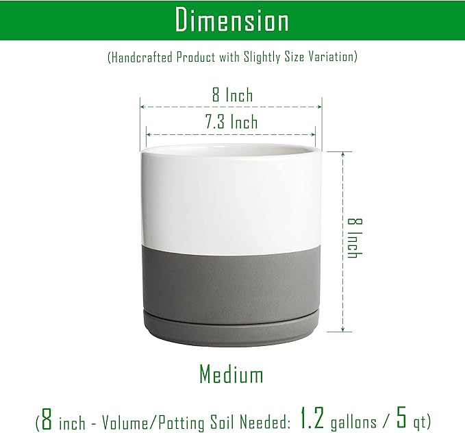 D'vine Dev Set of 2 Plants Pots, 8 Inch Ceramic Planter Pot for Plants with Drainage Hole and Saucer, White/Speckled Grey, 94-V-D-6