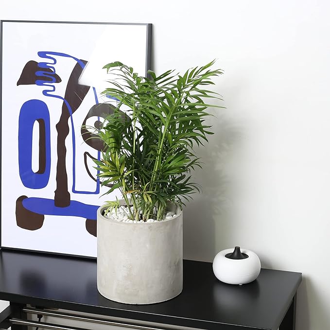 Plant Pots - 7.7 inch Cement Planters Indoor - Modern Grey Flower Pot with Drainage Hole - Home Office Decor