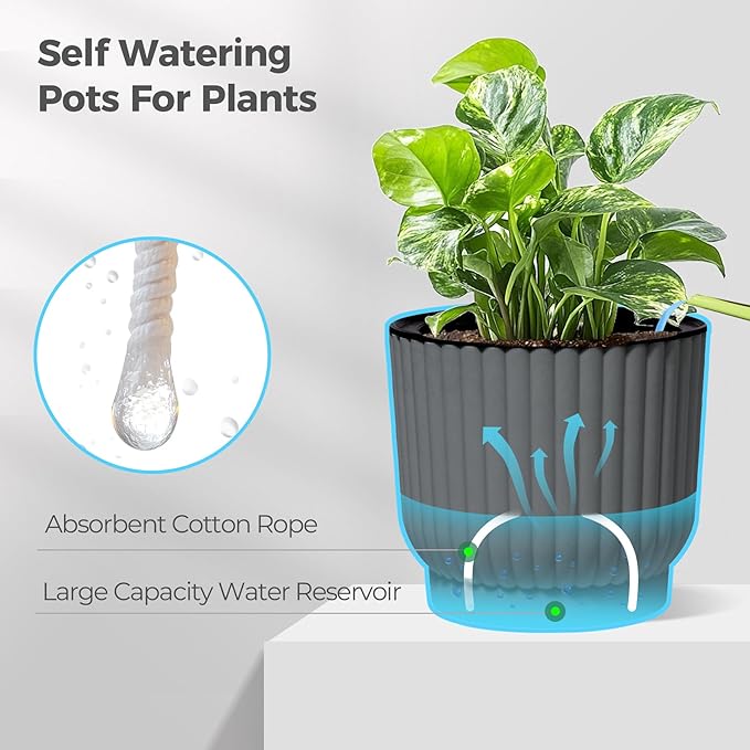 T4U 6 Inch Self Watering Pots for Indoor Plants, 6 Pack Planters for Indoor Plants, Durable Plastic Charcoal Gray Pots for Indoor Plants, African Violets, Flower