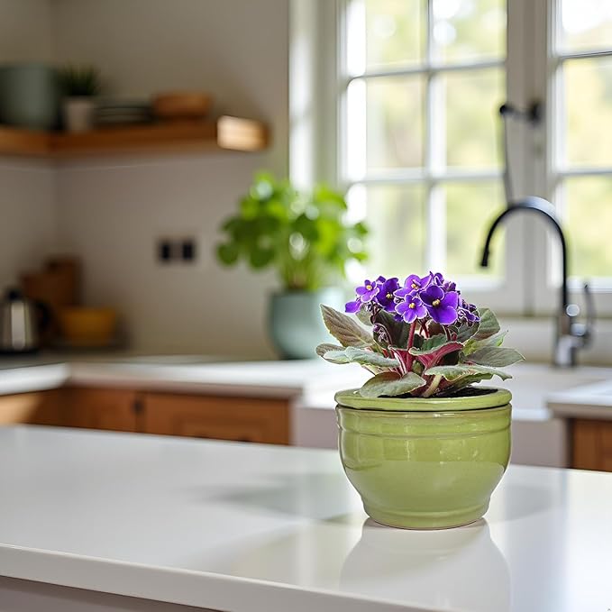 African Violet Pots Self Watering Round Ceramic Violet Pot (Green, 6 inch)