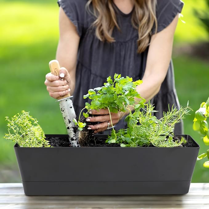 GREANER Window Boxes Planters, 3PCS 16x3.8 Inch Black Rectangle Planters Box with Drainage Holes and Trays, Herb Succulents Flowers Plastic Pot for Windowsill, Garden, Balcony, Indoor, Outdoor Decor