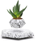 BandD Plant Pot for Succulents, air Bonsai & air Plants. Planter for Home, Office & Desk Decor. Magnetic Floating Levitating Display. (Marble)
