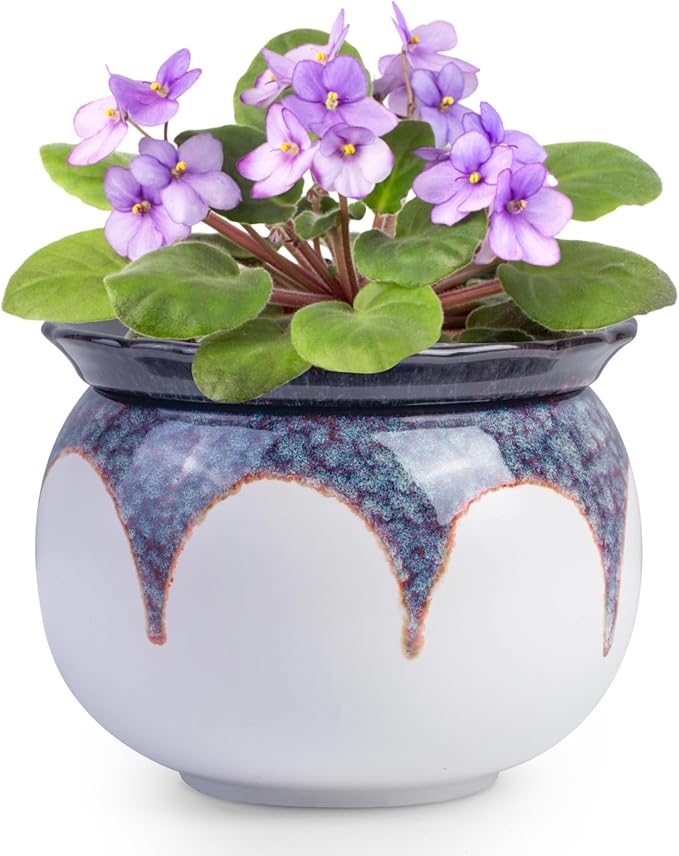 African Violet Pots, 6 inch Ceramic Easy Self Watering Plant Pot for Busy Plant Lovers, Automatically Absorb Appropriate Amount of Water, Flower Pot Indoor-Plants Not Included(Red)
