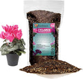 Premium Cyclamen Potting Soil Mix - Perfect Balance of Nutrients, Drainage, and Aeration for Thriving Blooms - 5 Quart