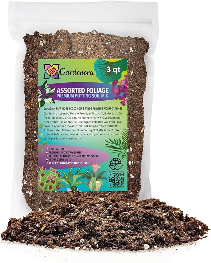 Assorted Foliage Potting Soil - Professional Grade Mix for Lush and Diverse Foliage Arrangements - 3 Quart