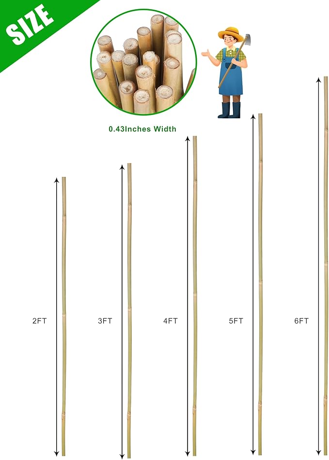 2ft Natural Bamboo Plant Stakes for Tomatoes, Beans, Flowers, Potted, Climbing Plants 25pcs