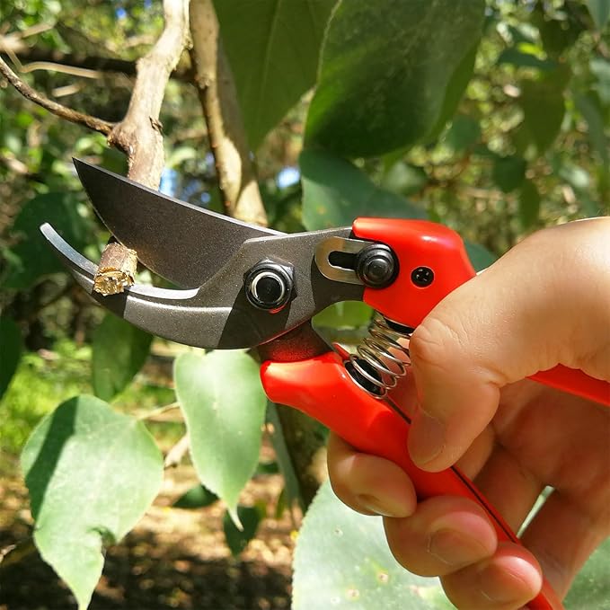 BUGUI 8" Gardening Scissors, Bypass Pruning Shears, 1" Cutting Capacity Sharp Garden Clippers with Low-friction Painted Stainless Steel Blade