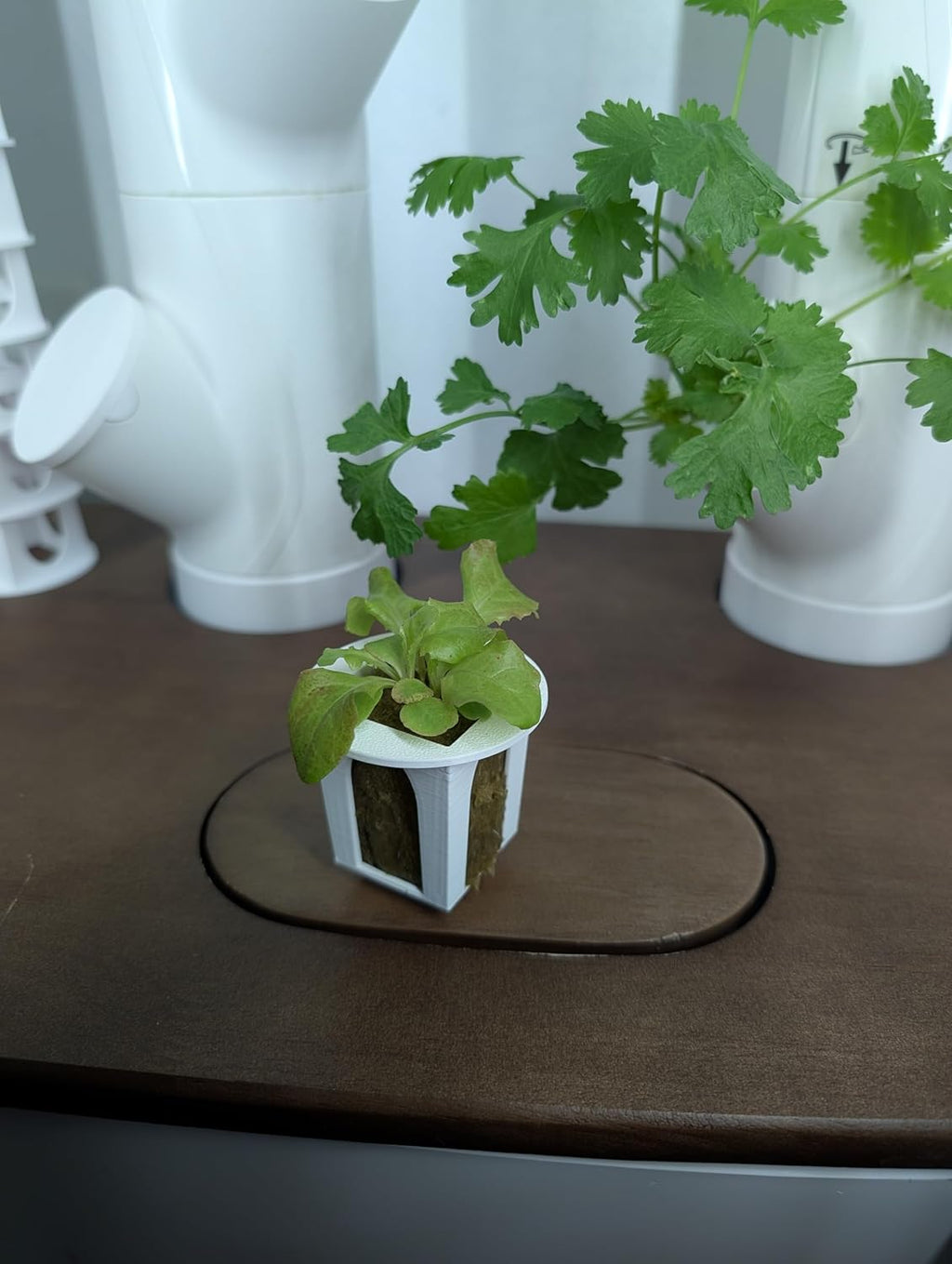 Grow Cubes for Hydroponic System/Compatible with Gardyn (20 Cubes+Rockwool)