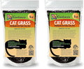 Cat Grass Growing Medium - Provide Your Cat with a Fun and Healthy Source of Greens - 10 QUARTS