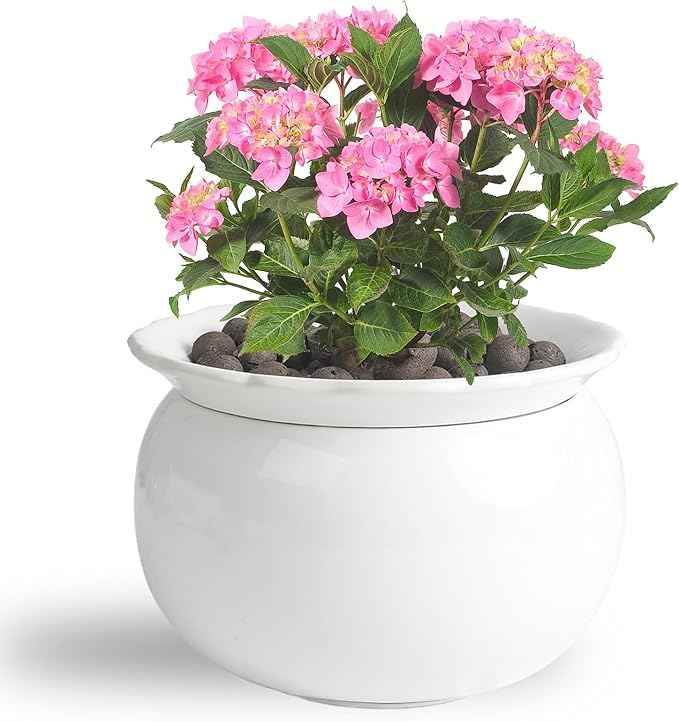 African Violet Pots, 6 inch Ceramic Easy Self Watering Plant Pot for Busy Plant Lovers, Automatically Absorb Appropriate Amount of Water, Flower Pot Indoor-Plants Not Included