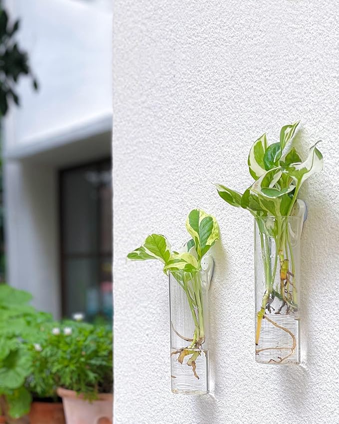 Ivolador Wall Plant Propagation Station Hanging Glass Planter Vase Terrarium Container Cylinder Shape Perfect for Propagating Hydroponic Plants Home Office Garden Decor Wedding-4PCS