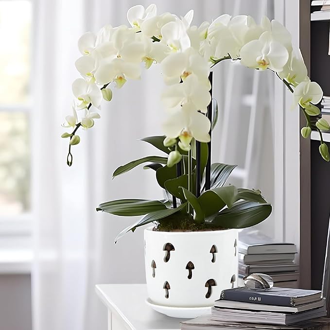 KERUITA Orchid Pots with Holes,5 inch + 6 inch Ceramic Planters Set of 2 with 2 Tray,White Flower Pot with Dancing Mushroom Shaped Vent, Enhanced Drainage and Ventilation