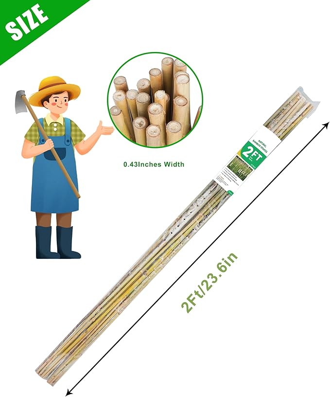 2ft Natural Bamboo Plant Stakes for Tomatoes, Beans, Flowers, Potted, Climbing Plants 25pcs